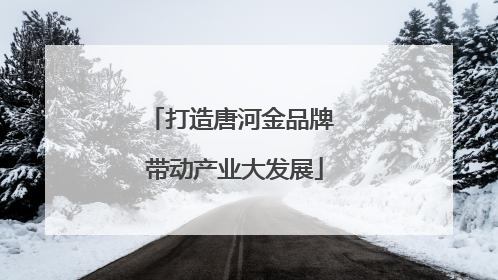 打造唐河金品牌 带动产业大发展