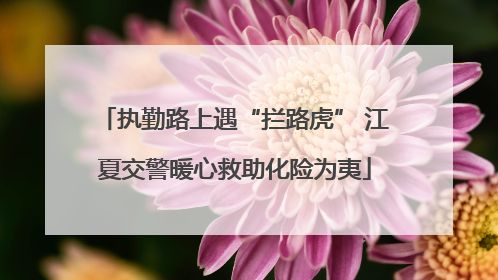 执勤路上遇“拦路虎” 江夏交警暖心救助化险为夷