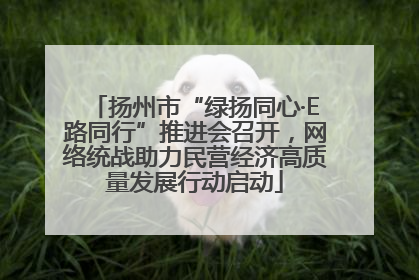 扬州市“绿扬同心·E路同行”推进会召开，网络统战助力民营经济高质量发展行动启动