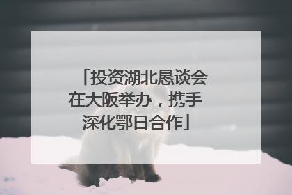 投资湖北恳谈会在大阪举办，携手深化鄂日合作