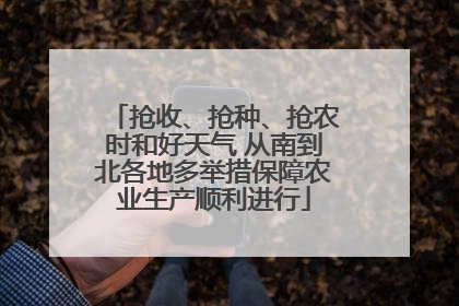 抢收、抢种、抢农时和好天气 从南到北各地多举措保障农业生产顺利进行