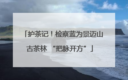 护茶记！检察蓝为景迈山古茶林 “把脉开方”