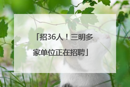 招36人！三明多家单位正在招聘