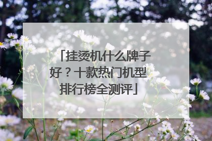 挂烫机什么牌子好？十款热门机型排行榜全测评