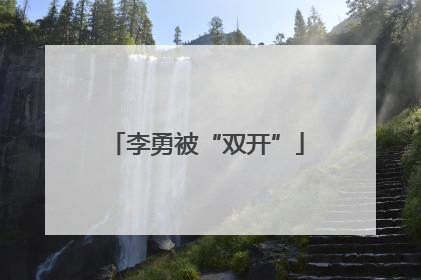 李勇被“双开”