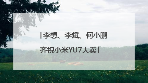 李想、李斌、何小鹏齐祝小米YU7大卖