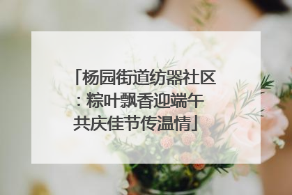 杨园街道纺器社区：粽叶飘香迎端午 共庆佳节传温情