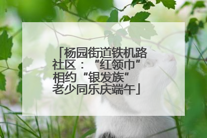 杨园街道铁机路社区：“红领巾”相约“银发族” 老少同乐庆端午