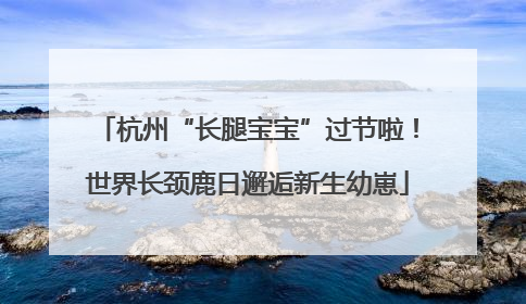 杭州“长腿宝宝”过节啦！世界长颈鹿日邂逅新生幼崽