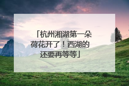 杭州湘湖第一朵荷花开了！西湖的还要再等等