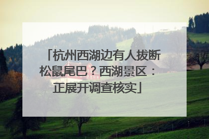 杭州西湖边有人拔断松鼠尾巴？西湖景区：正展开调查核实