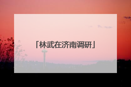 林武在济南调研