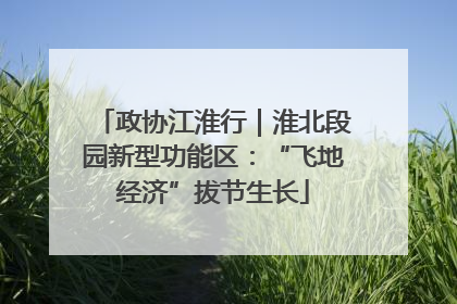 政协江淮行｜淮北段园新型功能区：“飞地经济”拔节生长