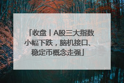 收盘丨A股三大指数小幅下跌，脑机接口、稳定币概念走强