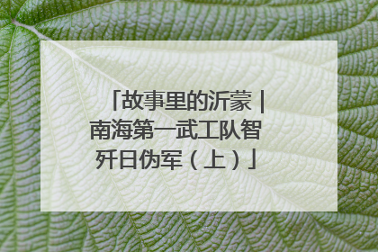 故事里的沂蒙｜南海第一武工队智歼日伪军（上）