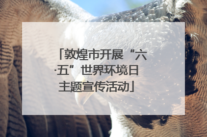 敦煌市开展“六·五”世界环境日主题宣传活动
