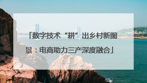 数字技术“耕”出乡村新图景：电商助力三产深度融合