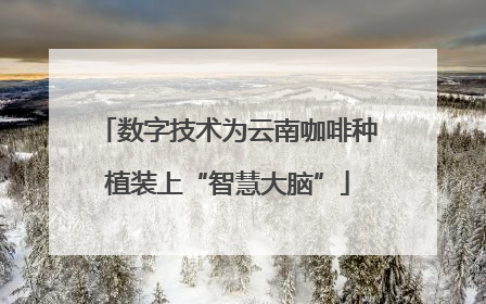 数字技术为云南咖啡种植装上“智慧大脑”