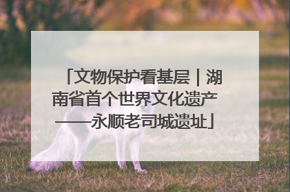 文物保护看基层｜湖南省首个世界文化遗产——永顺老司城遗址