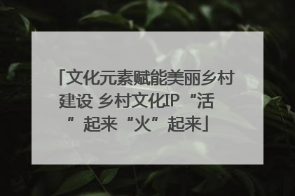文化元素赋能美丽乡村建设 乡村文化IP“活”起来“火”起来