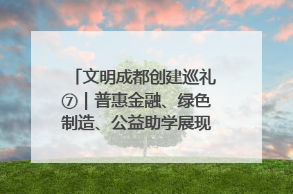 文明成都创建巡礼⑦｜普惠金融、绿色制造、公益助学展现城市文明底色