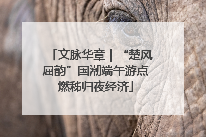 文脉华章｜“楚风屈韵”国潮端午游点燃秭归夜经济