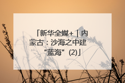 新华全媒+｜内蒙古：沙海之中建“蓝海”(2)
