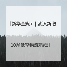 新华全媒+｜武汉新增10条低空物流航线