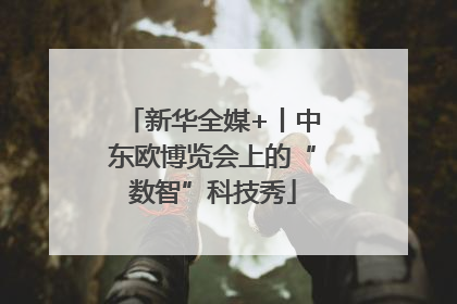 新华全媒+丨中东欧博览会上的“数智”科技秀