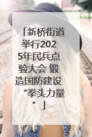 新桥街道举行2025年民兵点验大会 锻造国防建设“拳头力量”