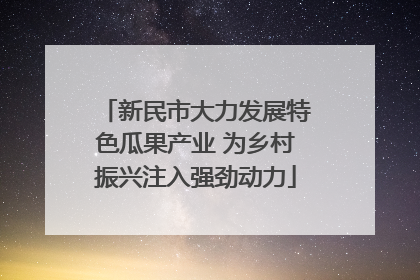 新民市大力发展特色瓜果产业 为乡村振兴注入强劲动力