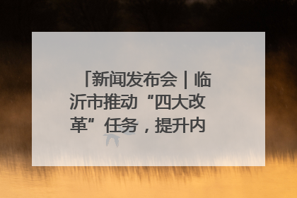 新闻发布会｜临沂市推动“四大改革”任务，提升内部审计监督效能