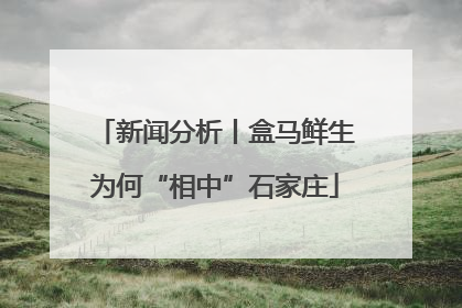 新闻分析丨盒马鲜生为何“相中”石家庄