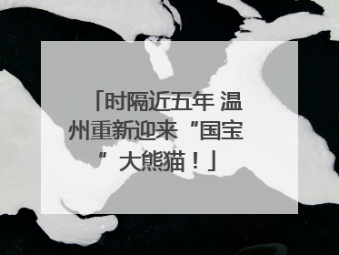 时隔近五年 温州重新迎来“国宝”大熊猫！