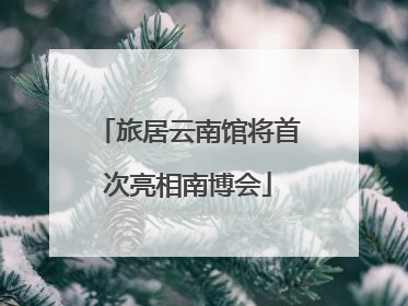 旅居云南馆将首次亮相南博会