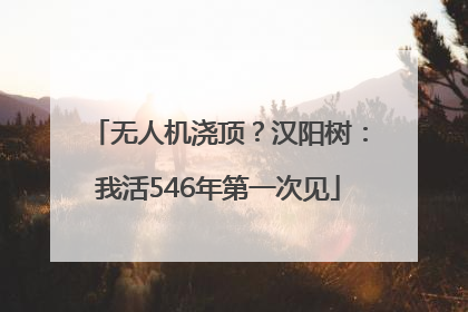 无人机浇顶？汉阳树：我活546年第一次见