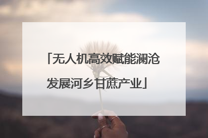 无人机高效赋能澜沧发展河乡甘蔗产业