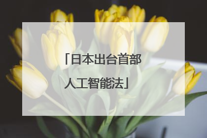 日本出台首部人工智能法