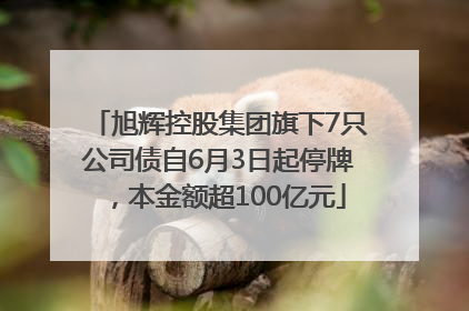旭辉控股集团旗下7只公司债自6月3日起停牌，本金额超100亿元