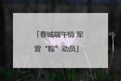 春城端午情 军营“粽”动员