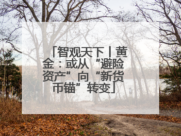 智观天下丨黄金：或从“避险资产”向“新货币锚”转变