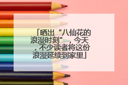 晒出“八仙花的浪漫时刻”，今天，不少读者将这份浪漫延续到家里