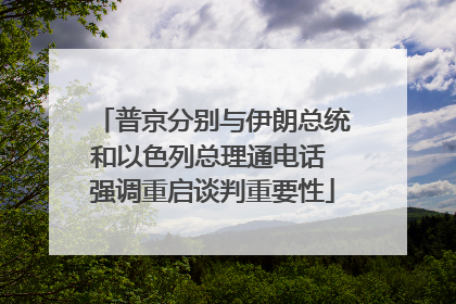 普京分别与伊朗总统和以色列总理通电话 强调重启谈判重要性