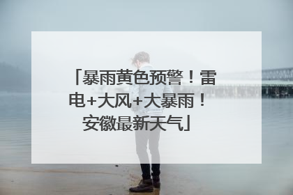 暴雨黄色预警！雷电+大风+大暴雨！安徽最新天气