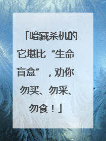 暗藏杀机的它堪比“生命盲盒”，劝你勿买、勿采、勿食！