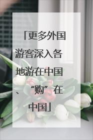 更多外国游客深入各地游在中国、“购”在中国