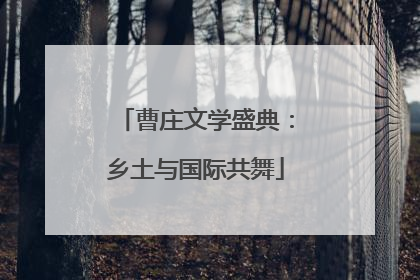 曹庄文学盛典：乡土与国际共舞