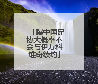 曝中国足协大概率不会与伊万科维奇续约