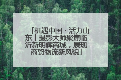 机遇中国・活力山东丨摄影大师聚焦临沂新明辉商城，展现商贸物流新风貌
