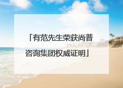 有范先生荣获尚普咨询集团权威证明